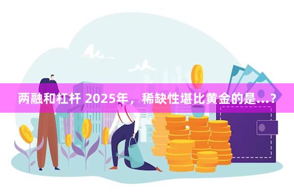 两融和杠杆 2025年，稀缺性堪比黄金的是...？