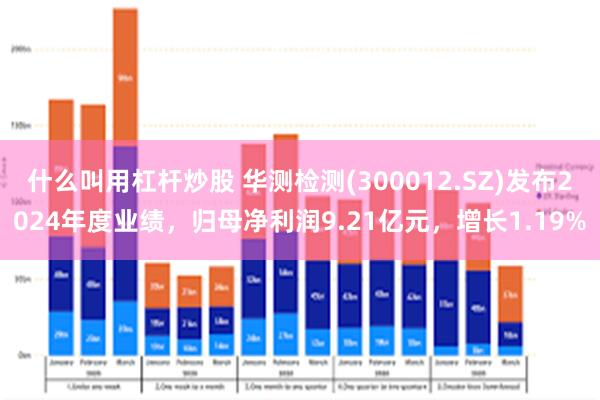 什么叫用杠杆炒股 华测检测(300012.SZ)发布2024年度业绩，归母净利润9.21亿元，增长1.19%