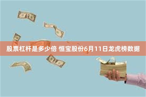股票杠杆是多少倍 恒宝股份6月11日龙虎榜数据