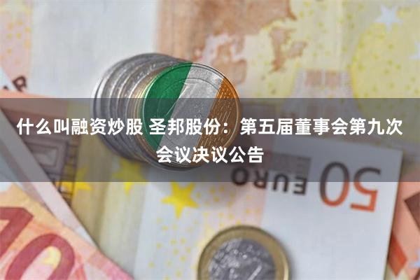 什么叫融资炒股 圣邦股份：第五届董事会第九次会议决议公告