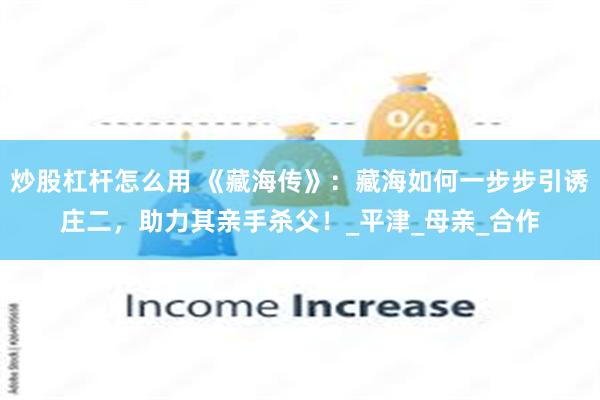 炒股杠杆怎么用 《藏海传》：藏海如何一步步引诱庄二，助力其亲手杀父！_平津_母亲_合作