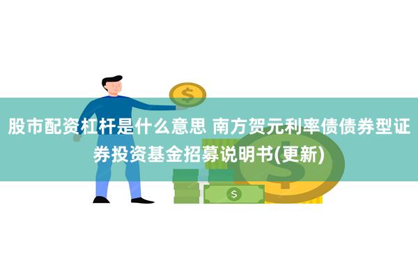 股市配资杠杆是什么意思 南方贺元利率债债券型证券投资基金招募说明书(更新)