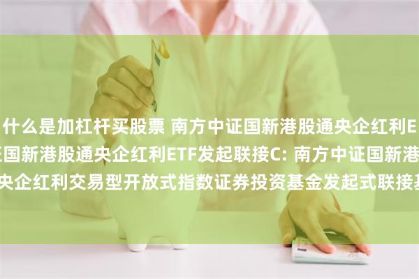 什么是加杠杆买股票 南方中证国新港股通央企红利ETF发起联接A,南方中证国新港股通央企红利ETF发起联接C: 南方中证国新港股通央企红利交易型开放式指数证券投资基金发起式联接基金招募说明书(2025年7月更新)