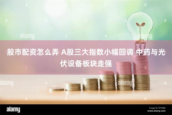 股市配资怎么弄 A股三大指数小幅回调 中药与光伏设备板块走强