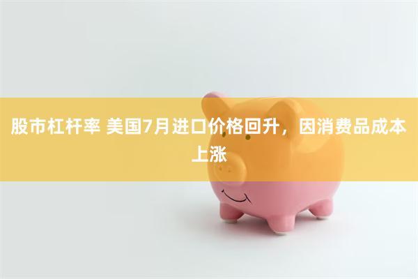 股市杠杆率 美国7月进口价格回升，因消费品成本上涨